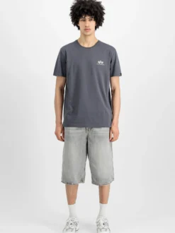 Alpha Industries Herren T-Shirt in grau