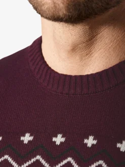 BABISTA Herren Pullover - BIATOLLI in bordeaux