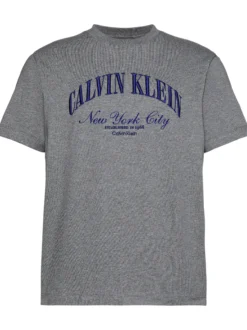 Calvin Klein Jeans Herren T-Shirt in grau royal