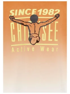 Chiemsee Jungen T-Shirt in orange weiß - Ärmel: kurzarm