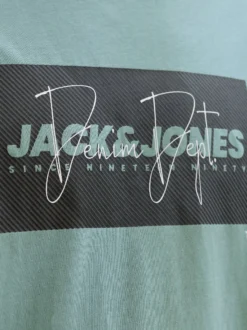 Jack & Jones Herren T-Shirt in mint schwarz