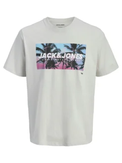 Jack & Jones Herren T-Shirt - JJIndiana in hellgrau