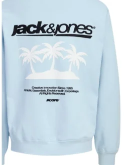 Jack & Jones Junior Jungen Sweatshirt in hellblau