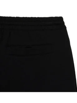 Lacoste Herren Shorts in schwarz