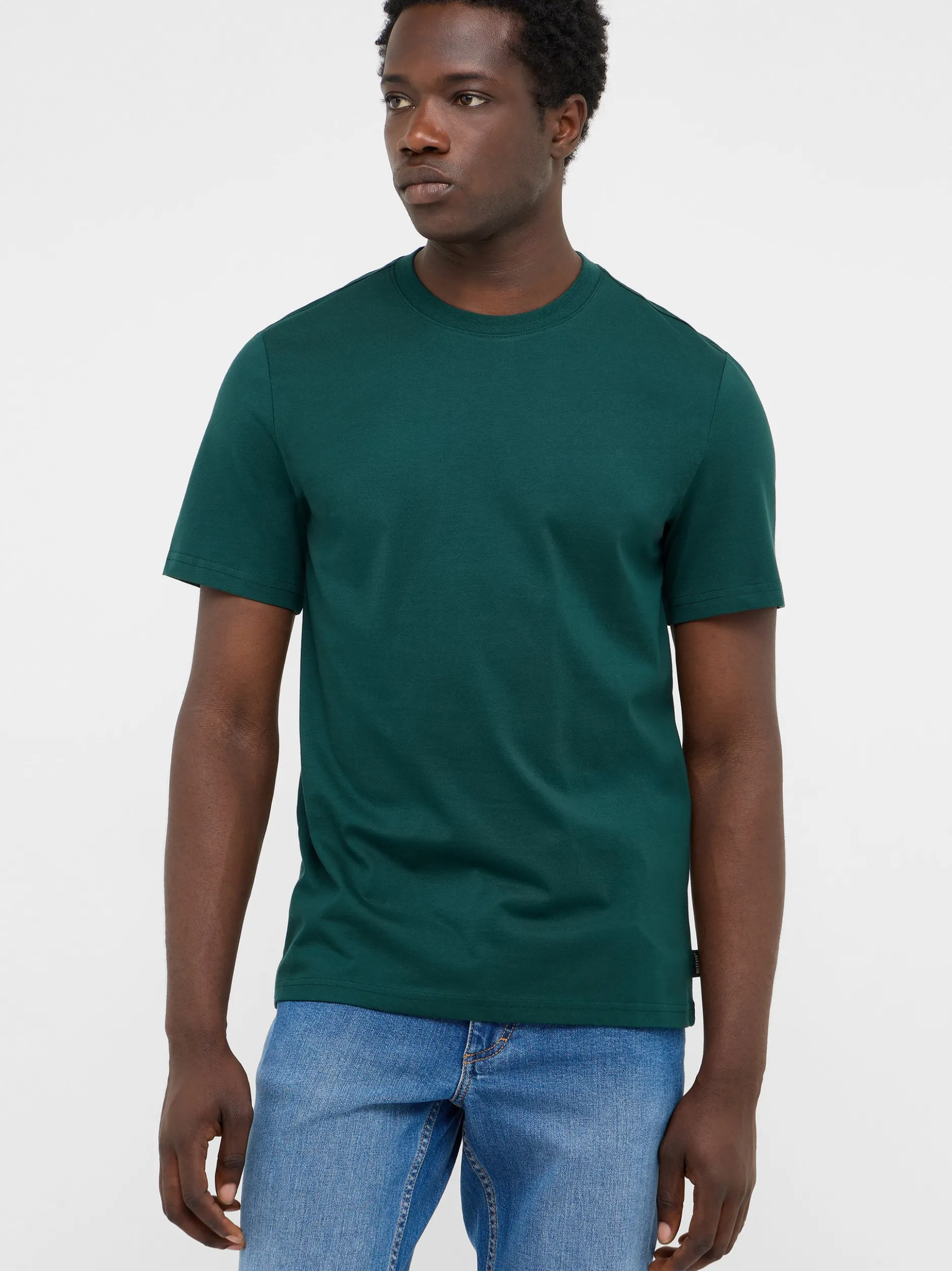 Mustang Herren T-Shirt in grün - Ausschnitt: Rundhals