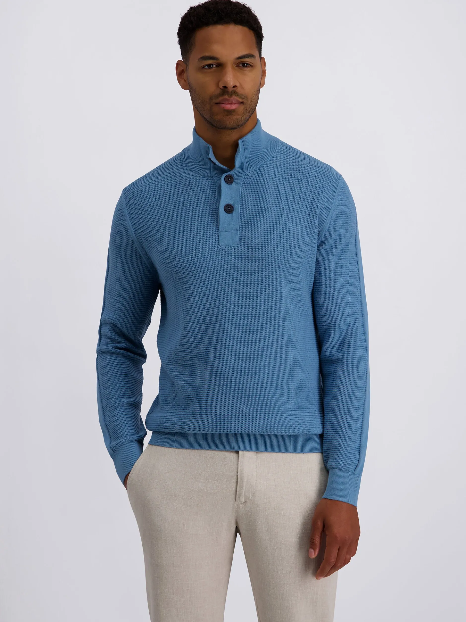 Pierre Cardin Herren Strickpullover in blau