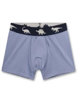 Sanetta Jungen Boxershort 5er Pack in mehrfarbig