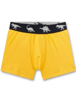 Sanetta Jungen Boxershort 5er Pack in mehrfarbig