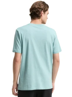 Tom Tailor Denim Herren T-Shirt in mint - Ärmel: kurzarm