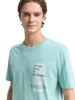 Tom Tailor Denim Herren T-Shirt in mint - Ärmel: kurzarm