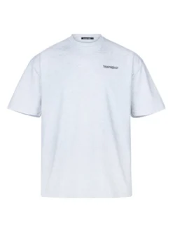 Trueprodigy Herren Oversize-Shirt - Lior in hellgrau